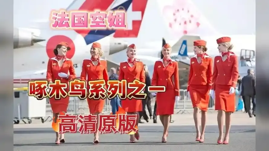 《法国空姐4》资源下载-法国空姐4免费在线观看超高清完整版-法国空姐全季合集高清无卡顿-资源下载