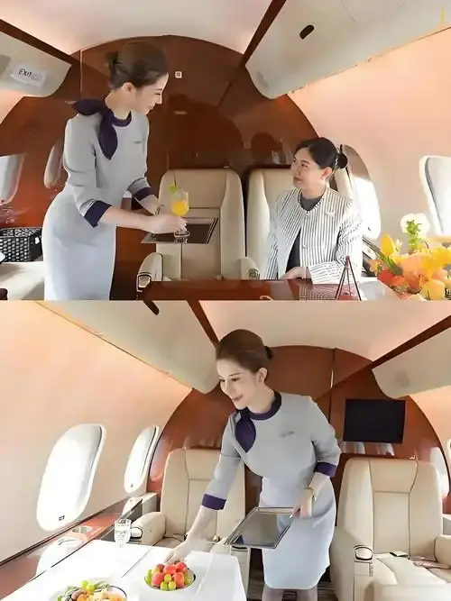 《私人航空/法国航空》未删减版HD高清在线观看-私人航空/法国航空完整版免费播放-无弹窗流畅体验