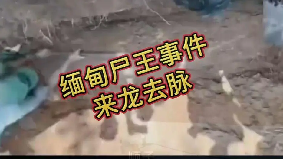 缅甸僵尸出土事件视频在线观看完整版资源下载 - 爆火视频《缅甸僵尸出土事件视频》高清无删减全程录像免费播放